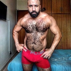 musclebearbrazil OnlyFans profile picture